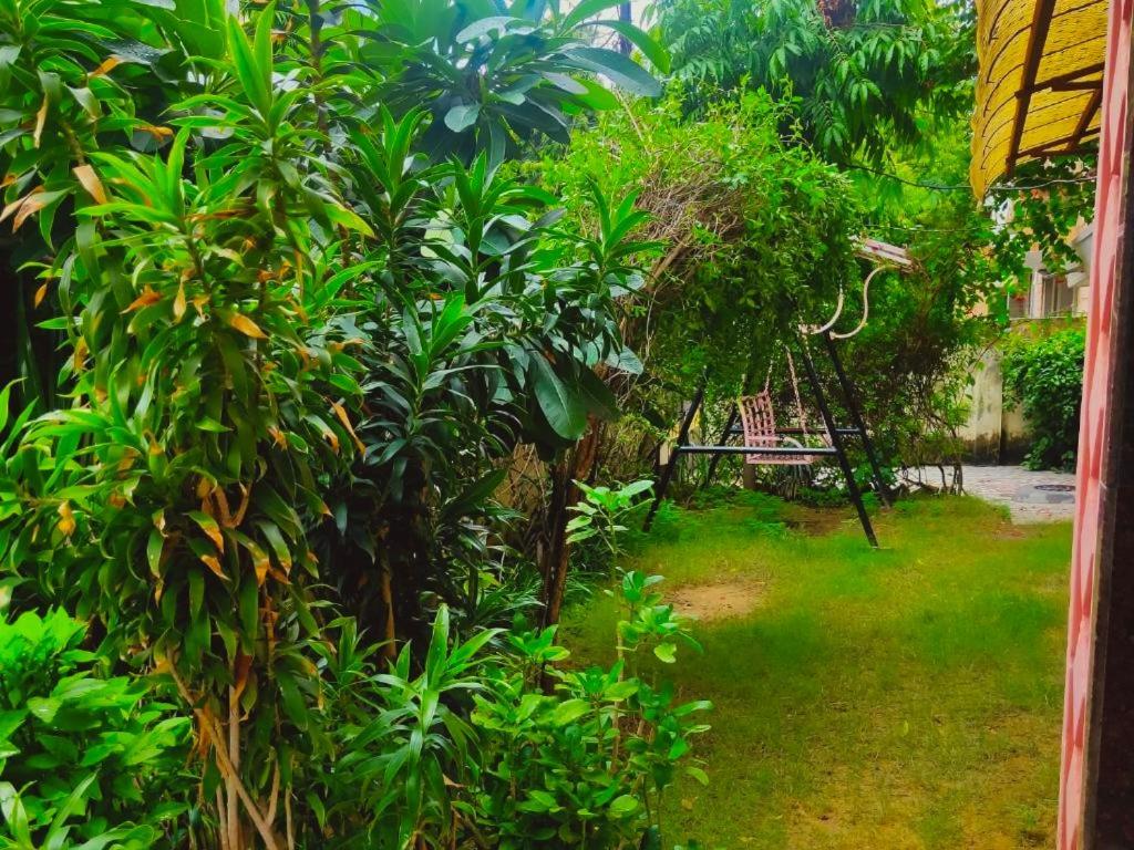 Jwala Niketan Eco Homestay Jaipur Eksteriør billede